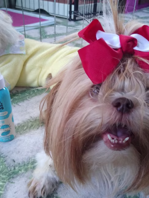 imagem da avaliação