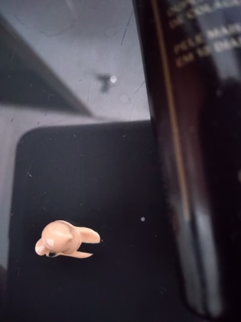 imagem da avaliação