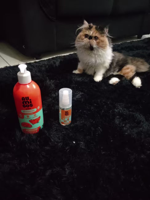 imagem da avaliação