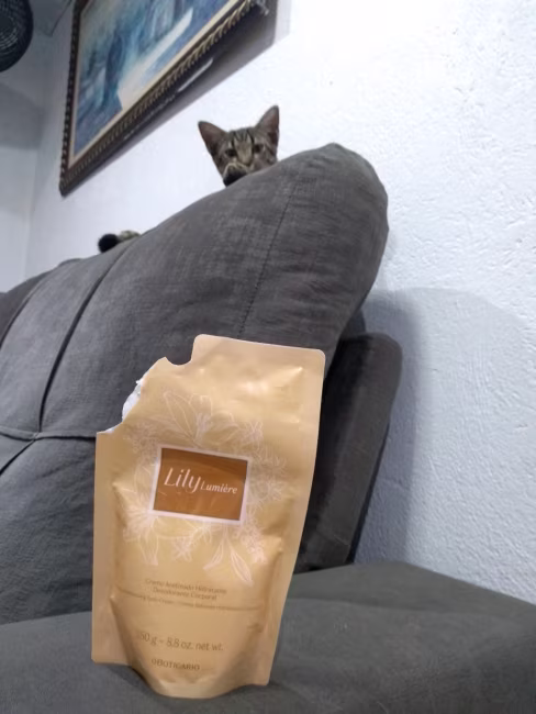 imagem da avaliação