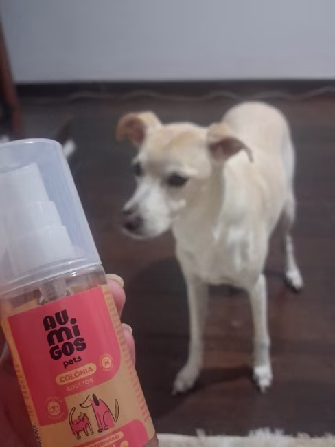 imagem da avaliação