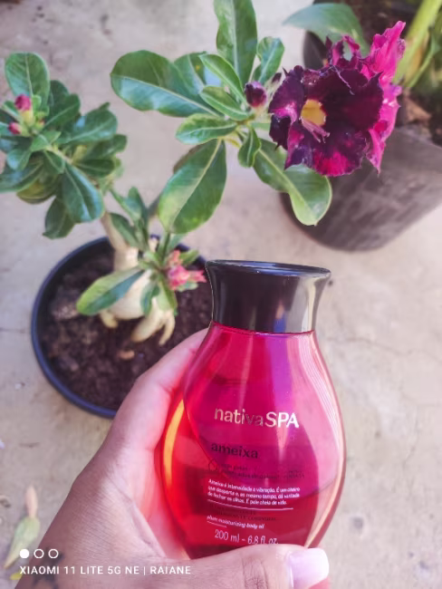 imagem da avaliação