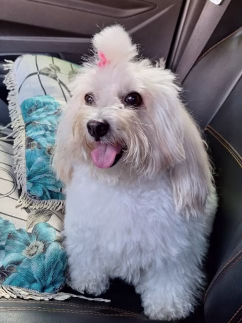 imagem da avaliação