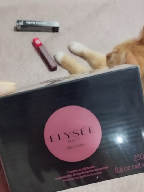 imagem da avaliação