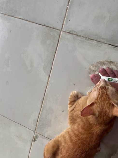 imagem da avaliação