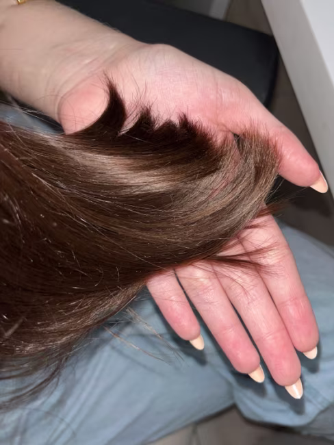 imagem da avaliação