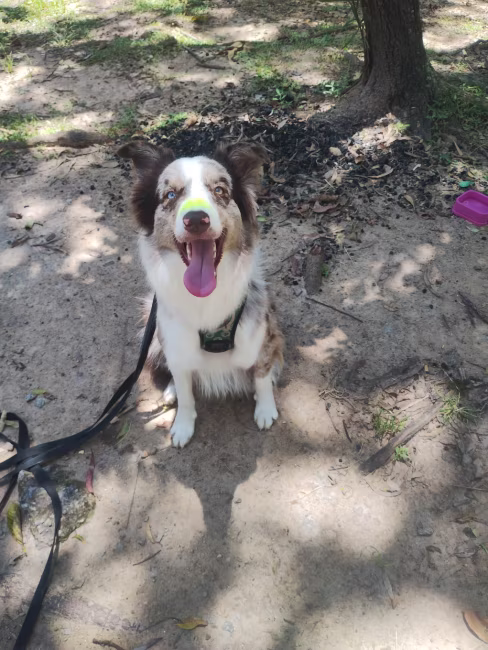 imagem da avaliação