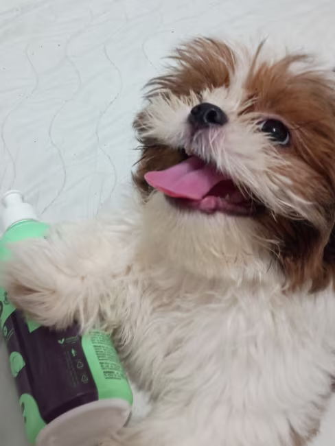 imagem da avaliação