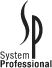 SP System Professional