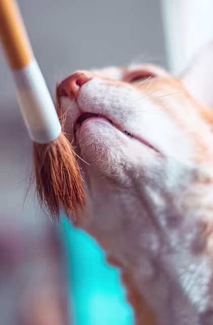 Em artigo sobre pele oleosa, que fala sobre hábitos que pioram a oleosidade da pele, imagem mostra o rosto de um gatinho de pelagem ruiva e branca esfregando-se em um pincel.