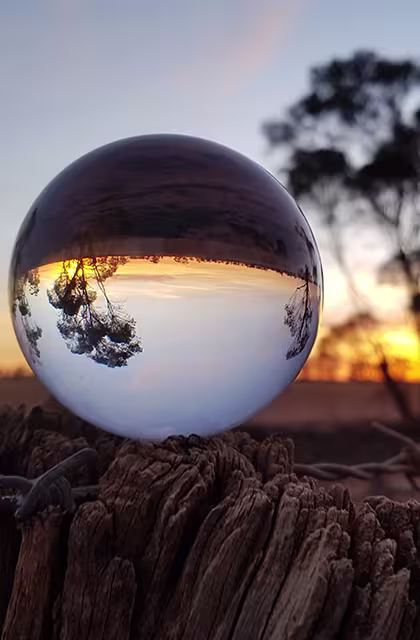 Imagem mostra bolha de água em cima de tronco seco refletindo a paisagem seca em redor, ao pôr do sol, em artigo sobre manteiga de carité