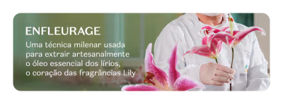 Imagem de uma flor de lírio rosa e uma pessoa em um jaleco branco segurando uma flor, comunicando a técnica chamada Enfleurage, usada para extrair o óleo essencial de lírios.