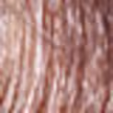 Inoar Color 6/1 Louro Escuro Cinza - Coloração 50g