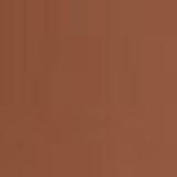 Shiseido Advanced Hydro-Liquid Compact D10 Golden Brown - Base Cremosa Refil 12g