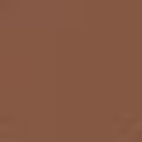 Shiseido Sheer Matifying Compact FPS 10 D20 Rich Brown - Base Compacta 9,8g