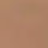 the Balm Balmshelter Medium FPS 18 - Hidratante com Cor 64g