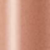 Shiseido Perfecting Stick Concealer 22 Natural Light - Corretivo em Bastão 5g