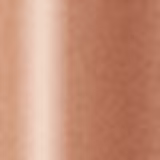 Shiseido Perfecting Stick Concealer 33 Natural - Corretivo em Bastão 5g