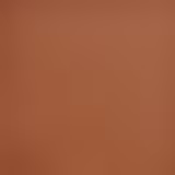 Clarins Everlasting Foundation FPS 15 118 Sienna - Base Líquida 30ml