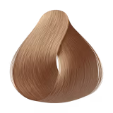 L'Oréal Professionnel Diarichesse 9 - Tonalizante 50g