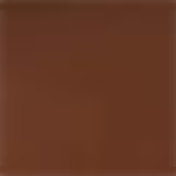 L'Oréal Paris Solar Expertise Antioleosidade FPS 60 Cor 5.0 - Protetor Solar com Cor 40g