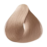 Richée Professional Prismcolor Louro Claríssimo 10.0 - Coloração Permanente 60g