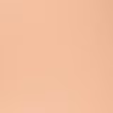 Guerlain Terracotta Le Teint 2N - Base Líquida 35ml