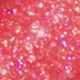 A imagem mostra a tampa da embalagem do gloss, com o aplicador virado pra cima, semelhante a uma tampa de batom, transparente e cilíndrica. Ao lado, o frasco do gloss, com o produto de cor coral e com a palavra KIND escrito na embalagem.