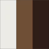 A imagem mostra uma paleta de sombras para os olhos da marca de maquiagem Wet n Wild. É uma embalagem transparente e retangular com tampa. Dentro, há duas sombras prensadas, uma na cor marrom claro e outra marrom escuro, além de um gel transparente.