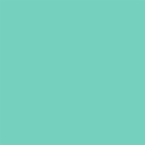 Case para Lip Oil Mari Maria Makeup Menta, 1 produto.