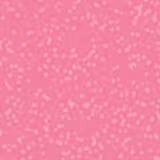 Shiseido Perfect Rouge Tender Sheer Rd304 - Batom Cremoso 4g