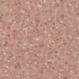 Shiseido Lacquer Gloss Br301 - Brilho Labial 7,5ml