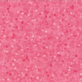 Shiseido Lacquer Gloss Pk304 - Brilho Labial 7,5ml