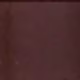 the Balm Furrowcious Dark Brown - Lápis para Sobrancelhas 0,9g