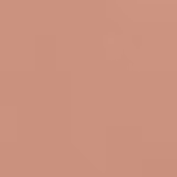 Dailus 22 Bronze - Pó Compacto Natural 10g