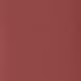 Shiseido ModernMatte Powder 507 Murmur - Batom 4g