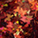 Colormake Shine Formatos Borboleta Bronze - Glitter 2g