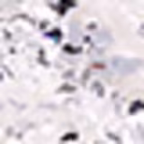 Colormake Shine Formatos Diamante 3D Perola Prata - Glitter 2g