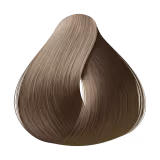 Alfaparf Evolution Of The Color 8.31 Louro Claro Dourado Cinza - Coloração Permanente 60ml