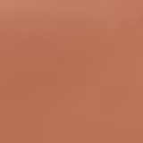 Biomarine Sun Marine Color Compacto FPS 52 Bronze - Protetor Solar com Cor 12g