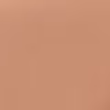 Biomarine Sun Marine Color FPS 50 Bronze - Pó Compacto 12g