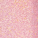 Smashbox Crystalized Gloss Angeles Practical Magic - Brilho Labial 4ml