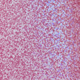 Smashbox Crystalized Gloss Angeles Ya Heal Me? - Brilho Labial 4ml