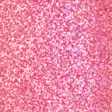 Smashbox Crystalized Gloss Angeles Free Spirited - Brilho Labial 4ml