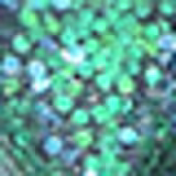 Zanphy Rio - Glitter 1,5g