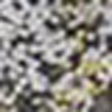 Zanphy Paris - Glitter 1,5g