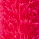 Kakau Lopes Miracle K'Tint e K'Plump Pink - Gloss 2 em 1 1,2ml