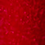 Kakau Lopes Miracle K'Tint e K'Plump Red - Gloss 2 em 1 1,2ml