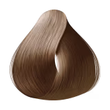 Amend Magnific Color 8.1 Louro Cinza - Coloração 200g