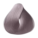 Alfaparf Evolution Of The Color 11.21 Louro Platina Irise Cinza - Coloração Permanente 60ml